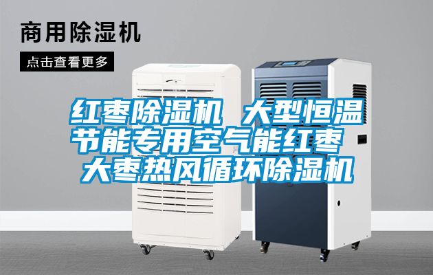 国产精品探花在线观看 红枣除湿机 大型恒温节能专用空气能红枣 大枣热风循环除湿机