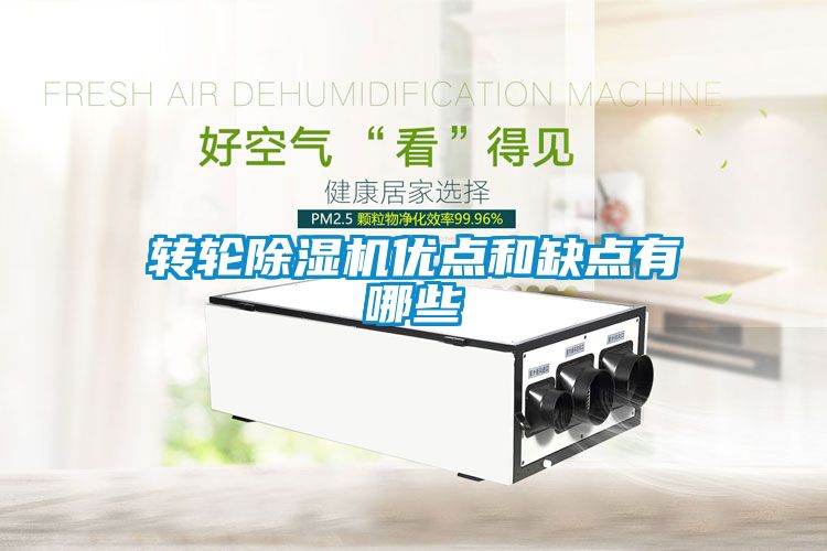 国产精品欧美激情视频 转轮除湿机优点和缺点有哪些