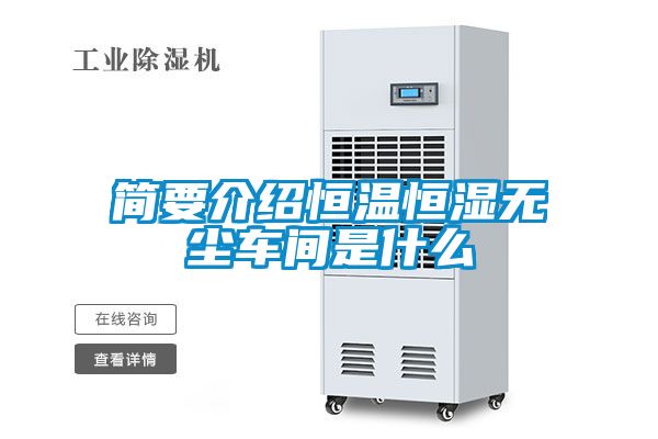 国产精品三级在线观看 简要介绍恒温恒湿无尘车间是什么