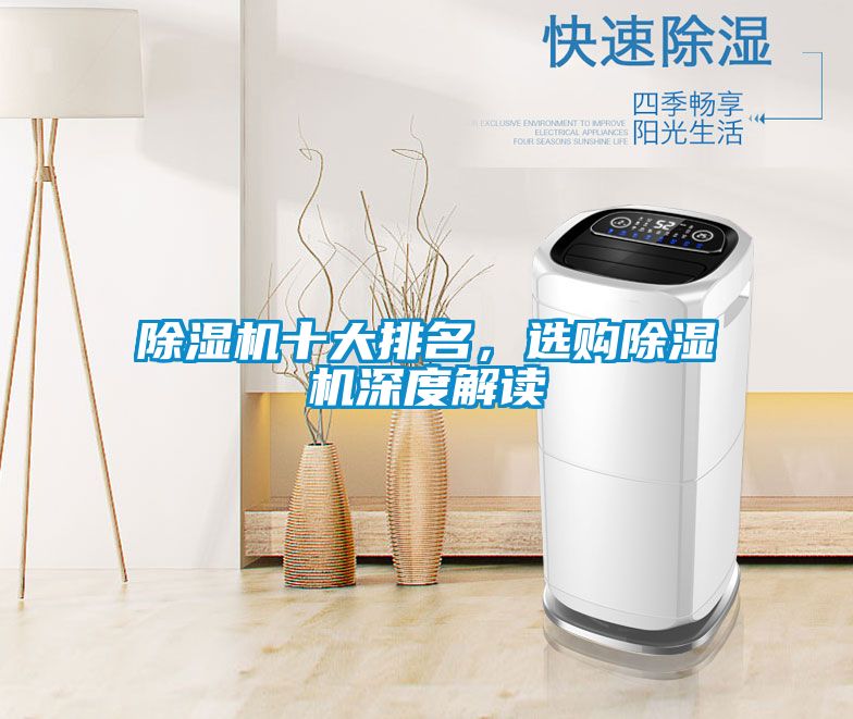 国产精品欧美激情视频 除湿机十大排名，选购除湿机深度解读