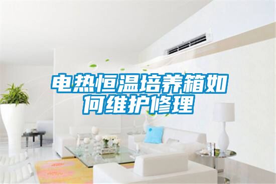国产精品三级在线观看 电热恒温培养箱如何维护修理