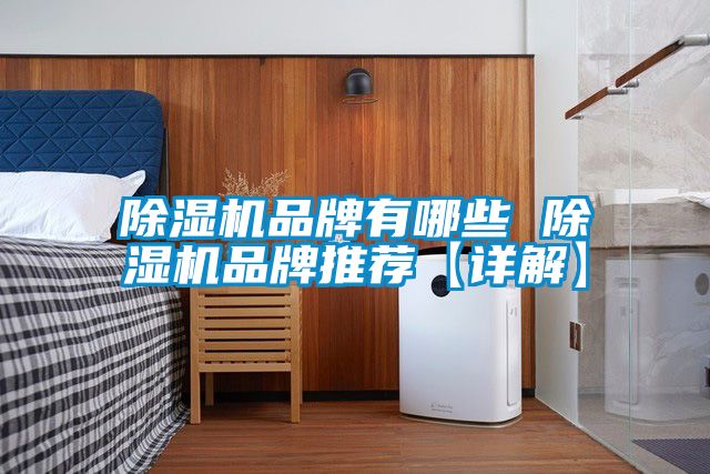 国产精品三级在线观看 除湿机品牌有哪些 除湿机品牌推荐【详解】