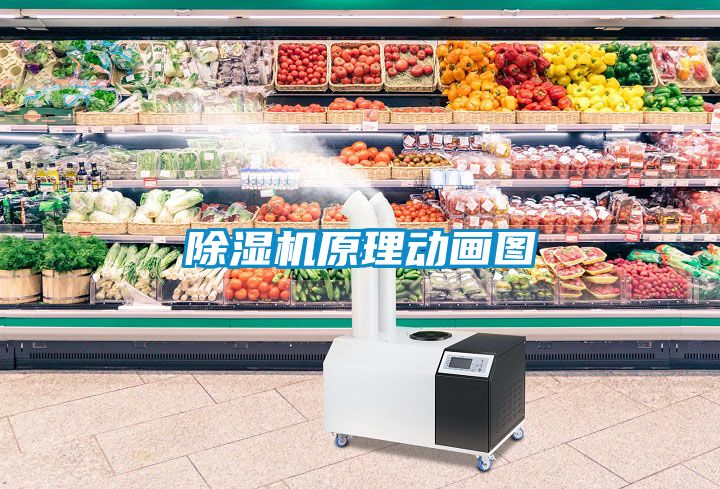 国产精品探花在线观看 除湿机原理动画图