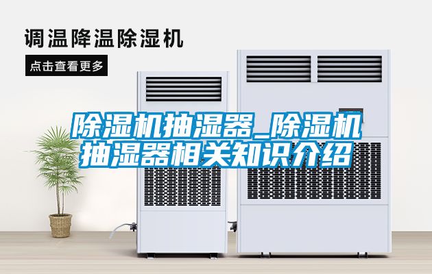 国产精品三级在线观看 除湿机抽湿器_除湿机抽湿器相关知识介绍