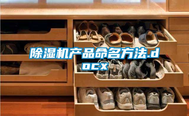 国产精品探花在线观看 除湿机产品命名方法.docx