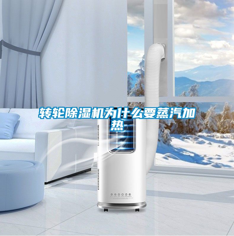 国产精品三级在线观看 转轮除湿机为什么要蒸汽加热