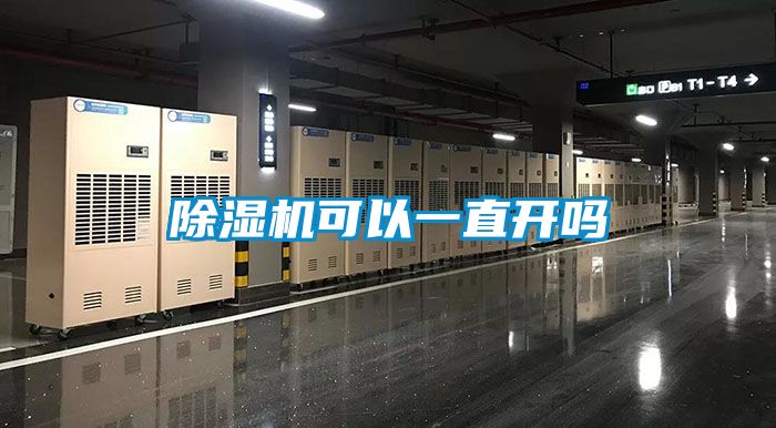 国产精品欧美激情视频 除湿机可以一直开吗