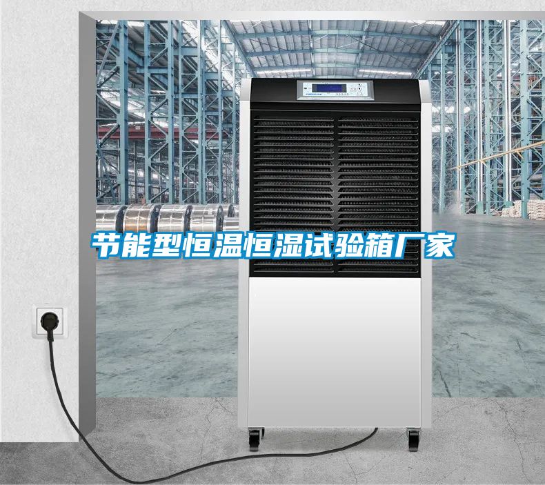 国产精品欧美激情视频 节能型恒温恒湿试验箱厂家