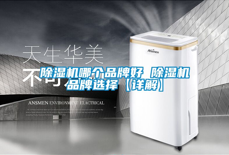 国产精品三级在线观看 除湿机哪个品牌好 除湿机品牌选择【详解】