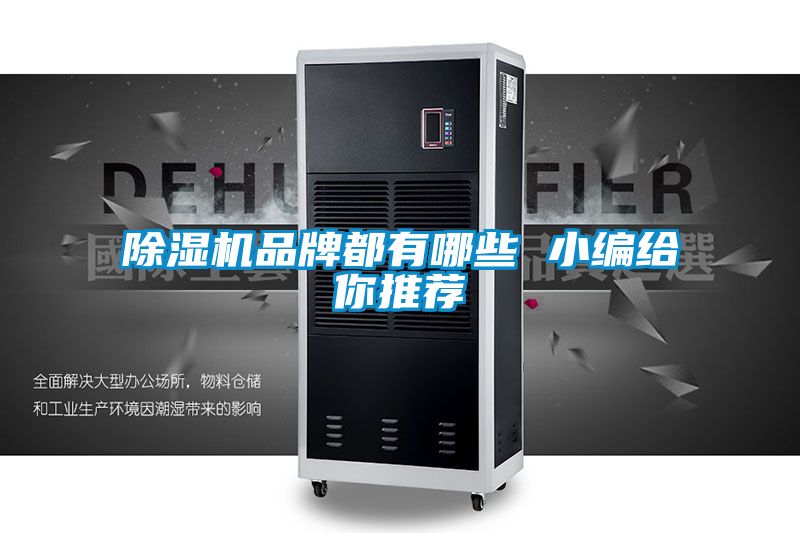 国产精品三级在线观看 除湿机品牌都有哪些 小编给你推荐