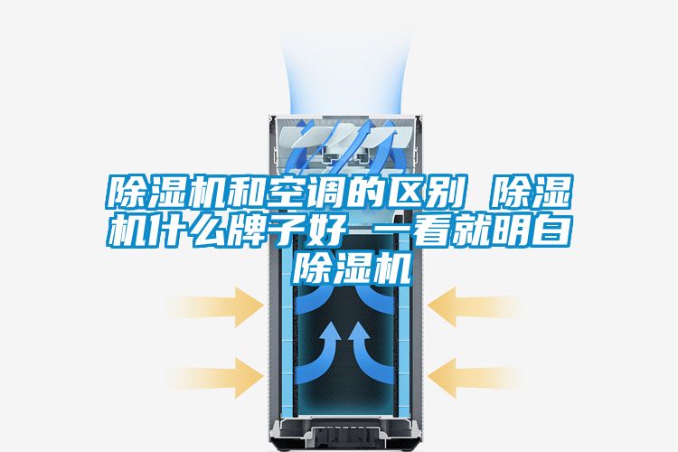 国产精品探花在线观看 除湿机和空调的区别 除湿机什么牌子好 一看就明白 除湿机