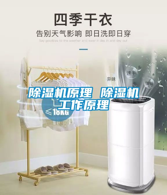 国产精品欧美激情视频 除湿机原理 除湿机工作原理