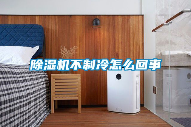 国产精品三级在线观看 除湿机不制冷怎么回事