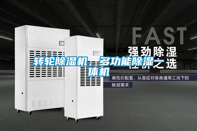 国产精品三级在线观看 转轮除湿机，多功能除湿一体机