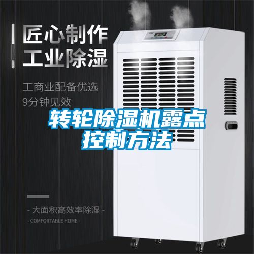 国产精品探花在线观看 转轮除湿机露点控制方法