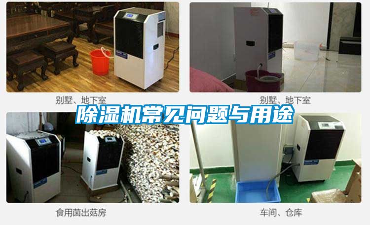 国产精品欧美激情视频 除湿机常见问题与用途