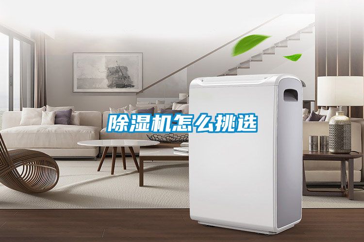 国产精品探花在线观看 除湿机怎么挑选