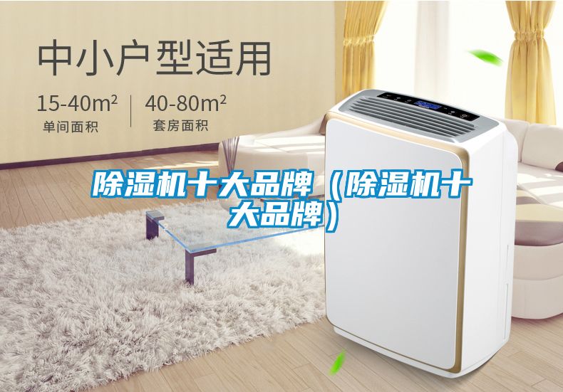国产精品欧美激情视频 除湿机十大品牌（除湿机十大品牌）