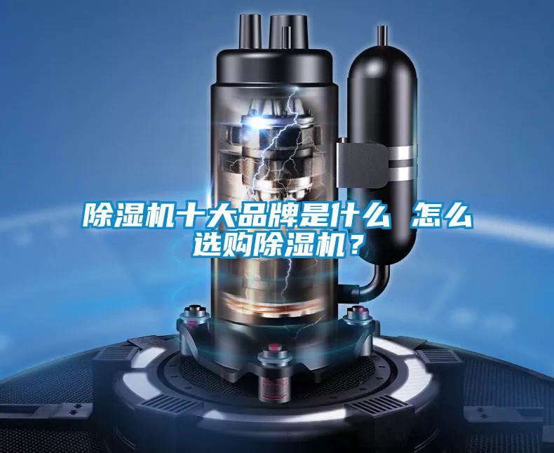 国产精品探花在线观看 除湿机十大品牌是什么 怎么选购除湿机？