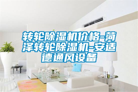 国产精品三级在线观看 转轮除湿机价格-菏泽转轮除湿机-安适德通风设备