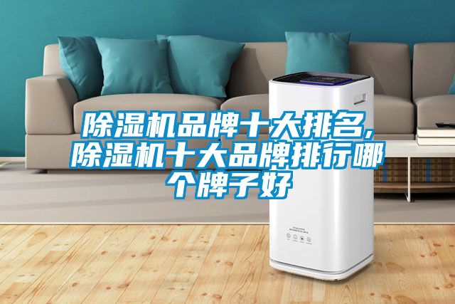 国产精品探花在线观看 除湿机品牌十大排名,除湿机十大品牌排行哪个牌子好