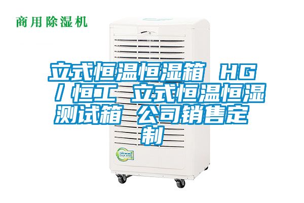 国产精品欧美激情视频 立式恒温恒湿箱 HG／恒工 立式恒温恒湿测试箱 公司销售定制