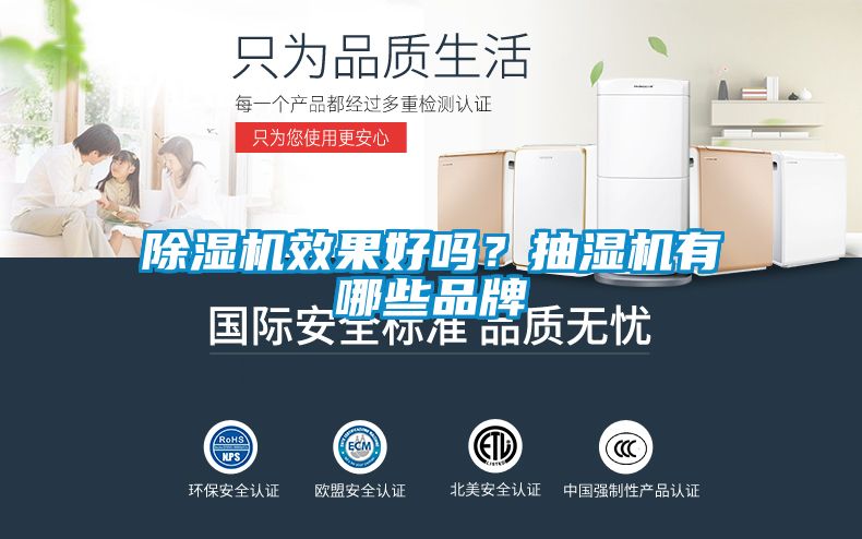 国产精品欧美激情视频 除湿机效果好吗？抽湿机有哪些品牌
