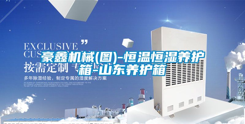 国产精品三级在线观看 豪鑫机械(图)-恒温恒湿养护箱-山东养护箱