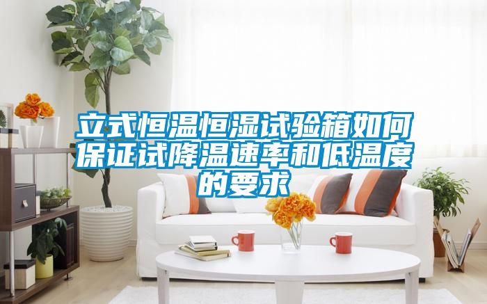 国产精品三级在线观看 立式恒温恒湿试验箱如何保证试降温速率和低温度的要求