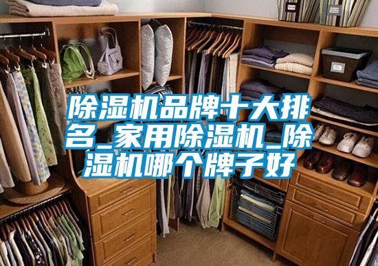 国产精品三级在线观看 除湿机品牌十大排名_家用除湿机_除湿机哪个牌子好