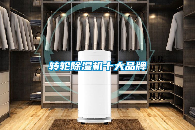 国产精品探花在线观看 转轮除湿机十大品牌