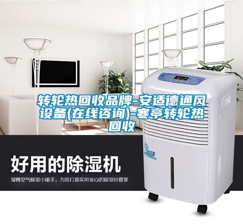 国产精品探花在线观看 转轮热回收品牌-安适德通风设备(在线咨询)-寒亭转轮热回收