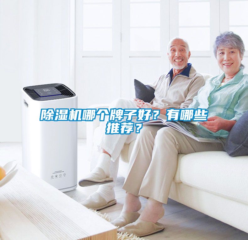 国产精品探花在线观看 除湿机哪个牌子好？有哪些推荐？