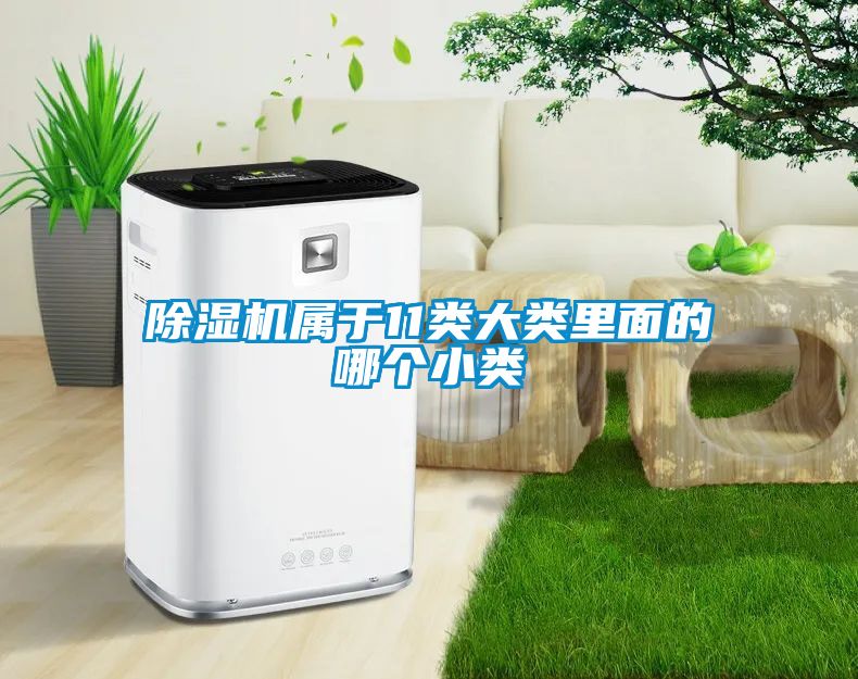 国产精品探花在线观看 除湿机属于11类大类里面的哪个小类