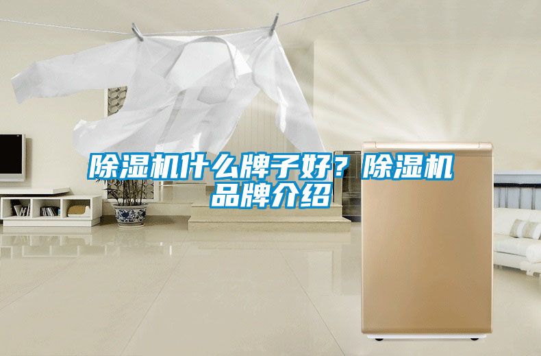 国产精品三级在线观看 除湿机什么牌子好？除湿机品牌介绍
