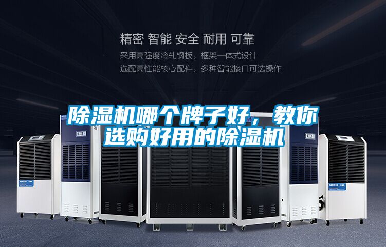 国产精品探花在线观看 除湿机哪个牌子好，教你选购好用的除湿机