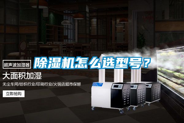 国产精品三级在线观看 除湿机怎么选型号？
