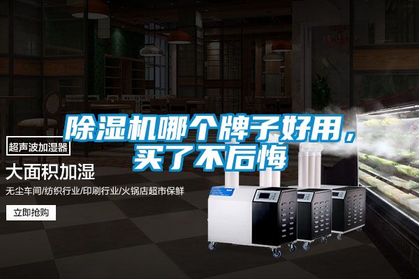 国产精品欧美激情视频 除湿机哪个牌子好用，买了不后悔