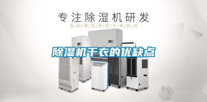 国产精品探花在线观看 除湿机干衣的优缺点
