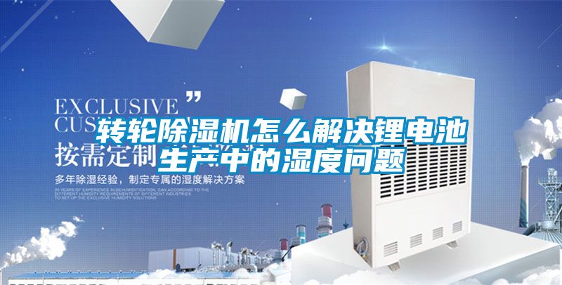 国产精品探花在线观看 转轮除湿机怎么解决锂电池生产中的湿度问题