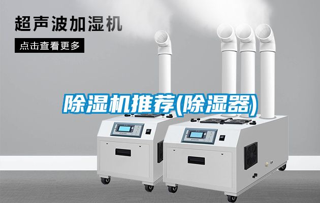 国产精品探花在线观看 除湿机推荐(除湿器)