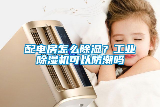 国产精品探花在线观看 配电房怎么除湿？工业除湿机可以防潮吗