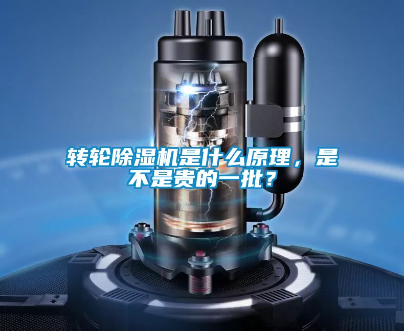 国产精品三级在线观看 转轮除湿机是什么原理，是不是贵的一批？