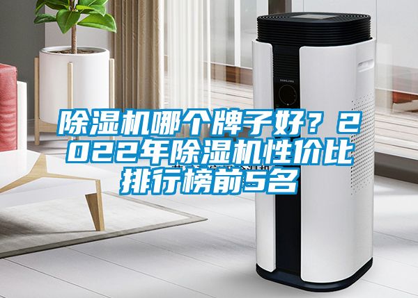 国产精品欧美激情视频 除湿机哪个牌子好？2022年除湿机性价比排行榜前5名