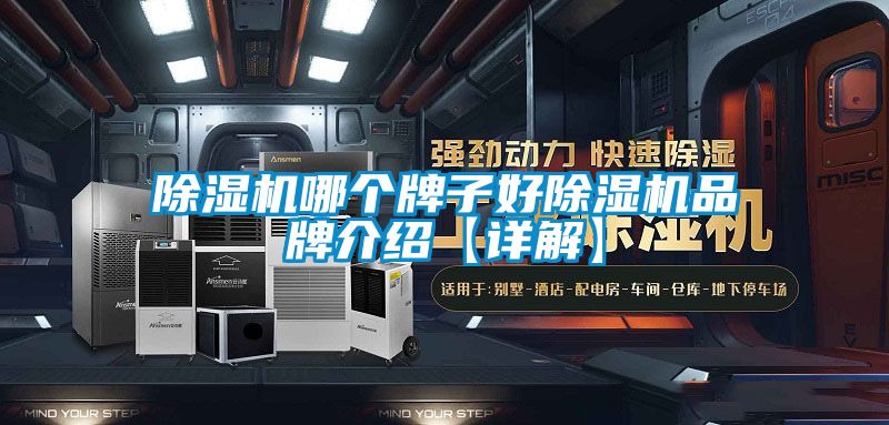 国产精品探花在线观看 除湿机哪个牌子好除湿机品牌介绍【详解】