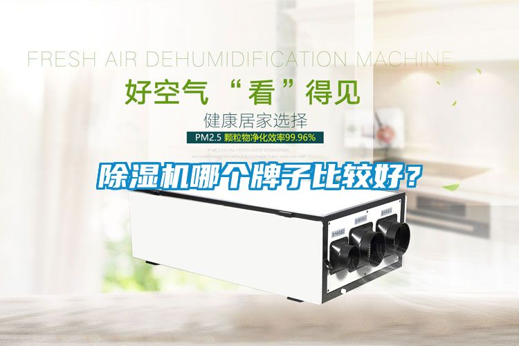 国产精品三级在线观看 除湿机哪个牌子比较好？