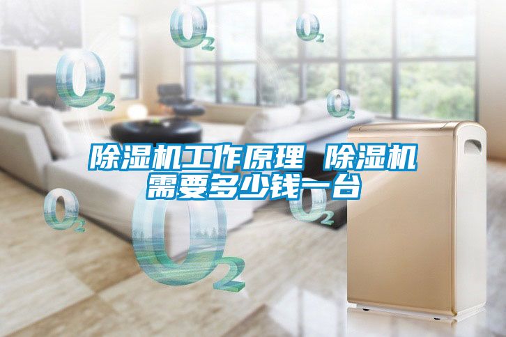 国产精品欧美激情视频 除湿机工作原理 除湿机需要多少钱一台