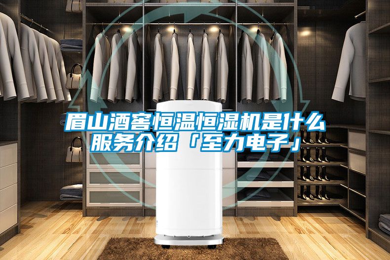 国产精品探花在线观看 眉山酒窖恒温恒湿机是什么服务介绍「至力电子」