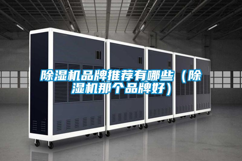 国产精品三级在线观看 除湿机品牌推荐有哪些（除湿机那个品牌好）