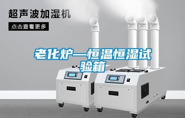 国产精品欧美激情视频 老化炉—恒温恒湿试验箱